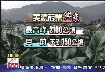 停止收購菸葉 美濃菸田蓋農舍