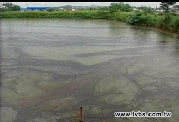 500公頃農地10池塘 恐遭油污染