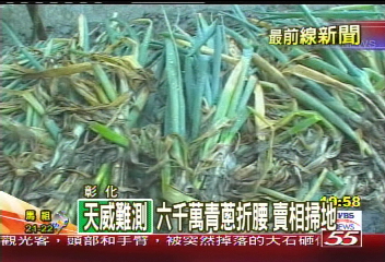 忽晴忽雨 蔥農:500甲蔥田泡湯全爛