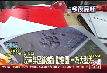 猛獸出沒／咬羊群足跡洩蹤　動物園：疑為大型犬