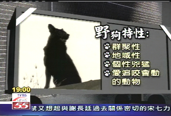 猛獸出沒/被捕狗掌印小 疑大型犬咬死羊群
