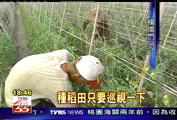 儒門特赦／稻農損5成　「炸彈客」動機為鄉親