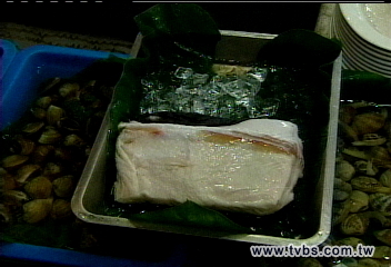 豆腐鯊今起不准賣 海產店昨銷存貨