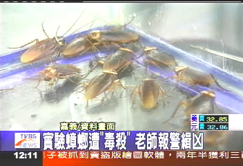 實驗蟑螂遭「毒殺」 老師報警緝凶