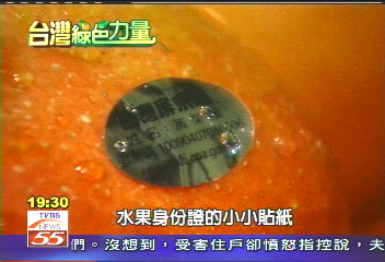 【發現台灣綠色力量】台灣水果躍國際 農業改良扮推手
