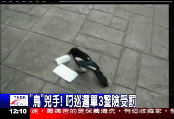 「鳥」兇手!叼巡邏單3警險受罰