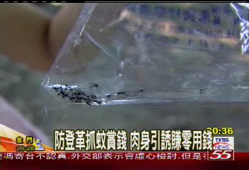 防登革抓蚊賞錢　肉身引誘賺零用錢