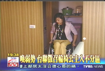 台聯也有刺客團　李安妮領軍選立委