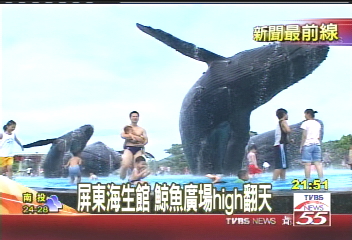 屏東海生館 鯨魚廣場High翻天
