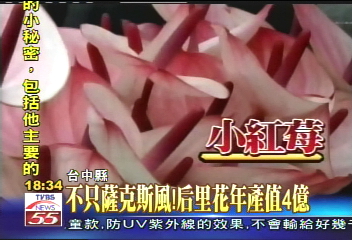 不只薩克斯風! 后里花年產值4億