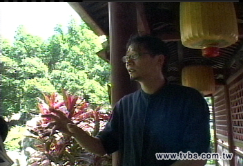 池塘青蛙太吵! 林家花園鄰居抗議