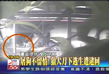 屠狗不留情！　獵犬刀下逃生遭逮回