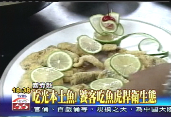 吃光本土魚! 饕客吃魚虎捍衛生態