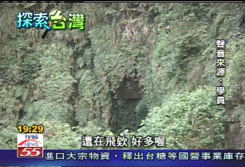 北濱蝙蝠洞 50萬蝙蝠大軍冠全台