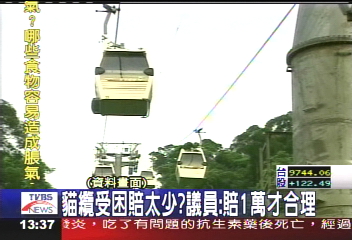 貓纜受困賠太少？　議員：賠1萬才合理