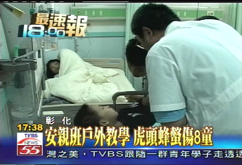 安親班戶外教學 虎頭蜂螫傷8童