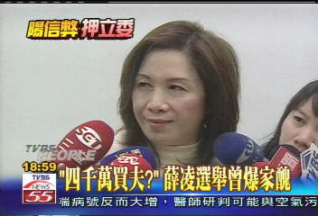 陽信弊案/「4千萬買夫?」 薛凌選舉曾爆家醜