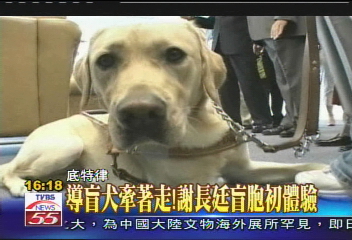 導盲犬牽著走! 謝長廷盲胞初體驗
