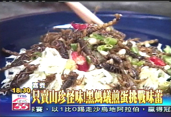 只賣山珍怪味！　黑螞蟻煎蛋挑戰味蕾
