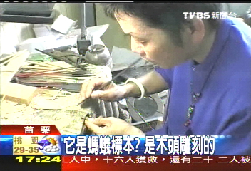 它是螞蟻標本？　是木頭雕刻的