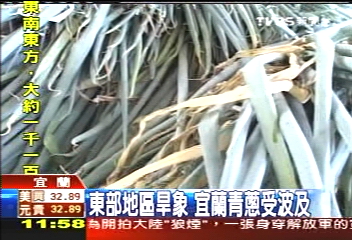 東部地區旱象　宜蘭青蔥受波及