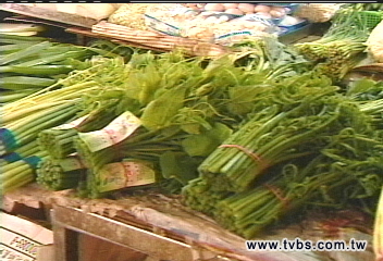 帕布撲台／颱風哄抬菜價揚　大白菜漲2倍