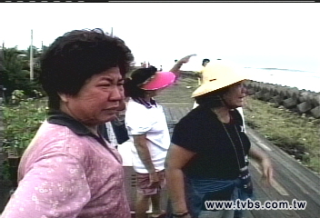 見死不救? 空勤:海象差沒看到人