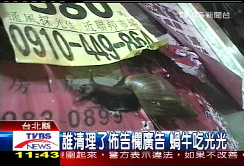 誰清理了佈告欄廣告?蝸牛吃光光