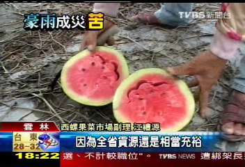 豪雨釀災／8百公頃西瓜田　遭水傷全泡湯