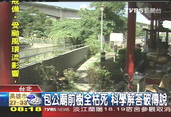 包公廟前樹全枯死 科學解答破傳說