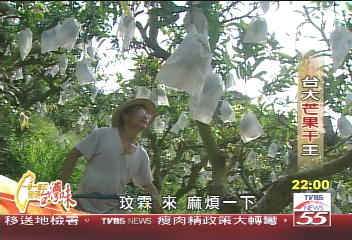 【一步一腳印】堅持下去!才能嘗到美好 玉井芒果干王(上)