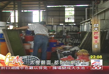 【一步一腳印】堅持下去!才能嘗到美好 玉井芒果干王(下)