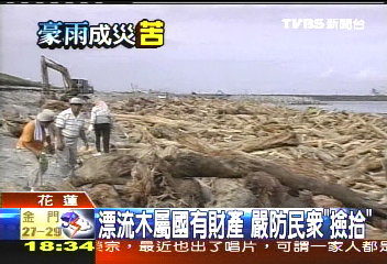 「漂」來財源　颱風漂流木幫國庫進帳