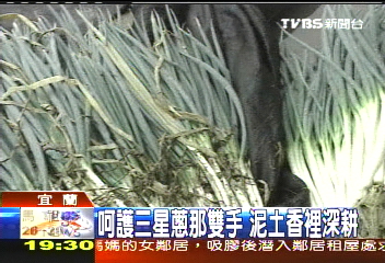 【新聞念真情】呵護三星蔥的那雙手　泥土香裡深耕