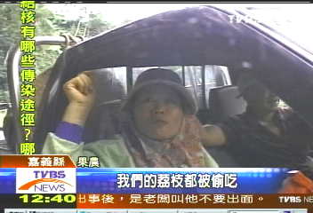 潑猴肆虐　農作損失慘重農民怨