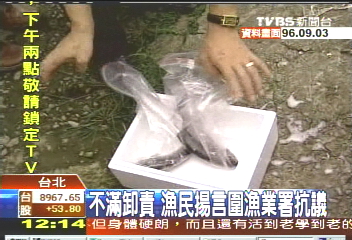 鰻魚禁藥／含禁藥？鰻魚滯銷！　漁民怒罵漁業署