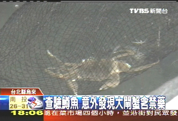 食在不安/查驗鱒魚 意外發現大閘蟹含禁藥