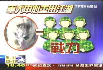 〈獨家〉裁撤7年 軍犬大隊明年再成軍
