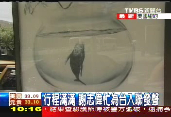 行程滿滿 謝志偉忙為台入聯發聲