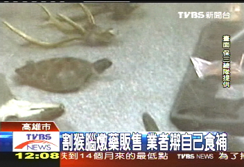 割猴腦燉藥販售 業者辯自己食補