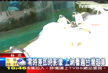 零時差即時影像上網 看遍台灣之美
