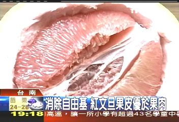 抗氧化新寵兒　紅文旦當紅