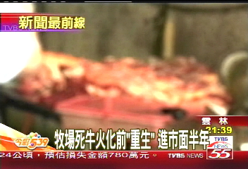 查獲斃死牛私宰場　總數達6公噸