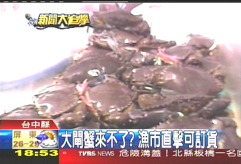 大閘蟹來不了? 漁市直擊可訂貨