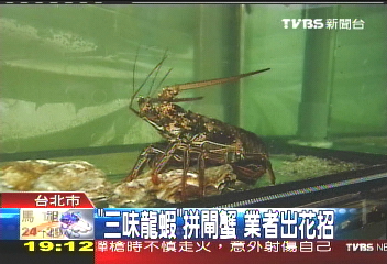 【食尚玩家】「三味龍蝦」拚閘蟹 業者出花招