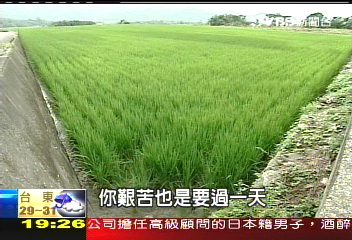 【新聞念真情】70年皮鞋免換 有米樂!光腳走出路