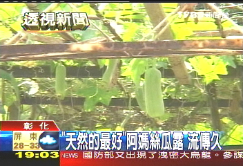 「天然的最好」 阿嬤絲瓜露流傳久