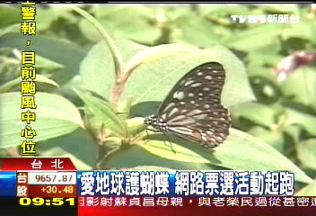 愛地球護蝴蝶　網路票選活動起跑
