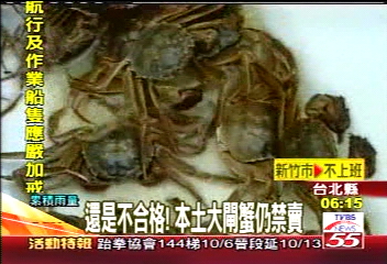 食在不安/還是不合格! 本土大閘蟹仍禁賣