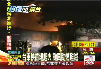 台東秧苗場起火 颱風助燃難滅